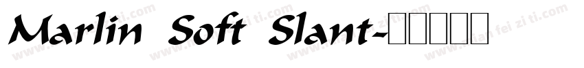 Marlin Soft Slant字体转换